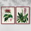 AntiqueFloralFolioI - reproduction encadrée de qualité supérieure - prête à être accrochée - aucun clou requis - aucun clou requis-160436337-160436302