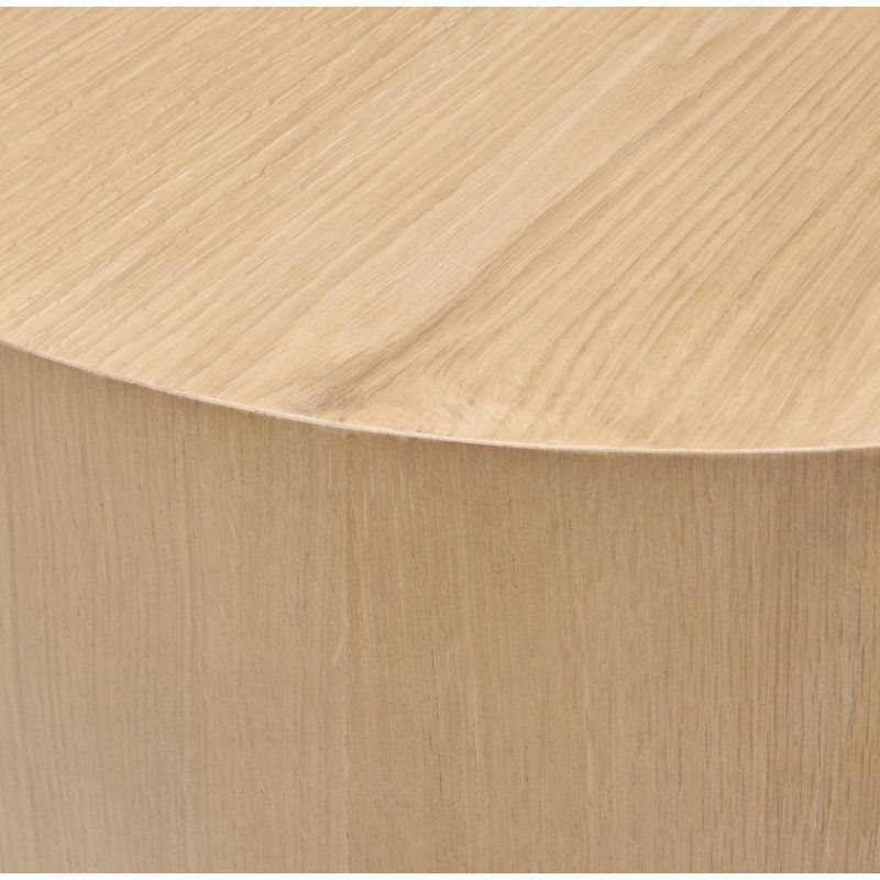 Becki Owens x Surya Whitly End Table, Brown