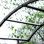 Tonnelle de jardin de 85 po Outsunny, treillis en métal avec barrière, arche de jardin pour vignes grimpantes, décoration de mariage
