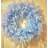 23" Feather  Wreath-739476543-739482990