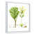Cadre flottant blanc