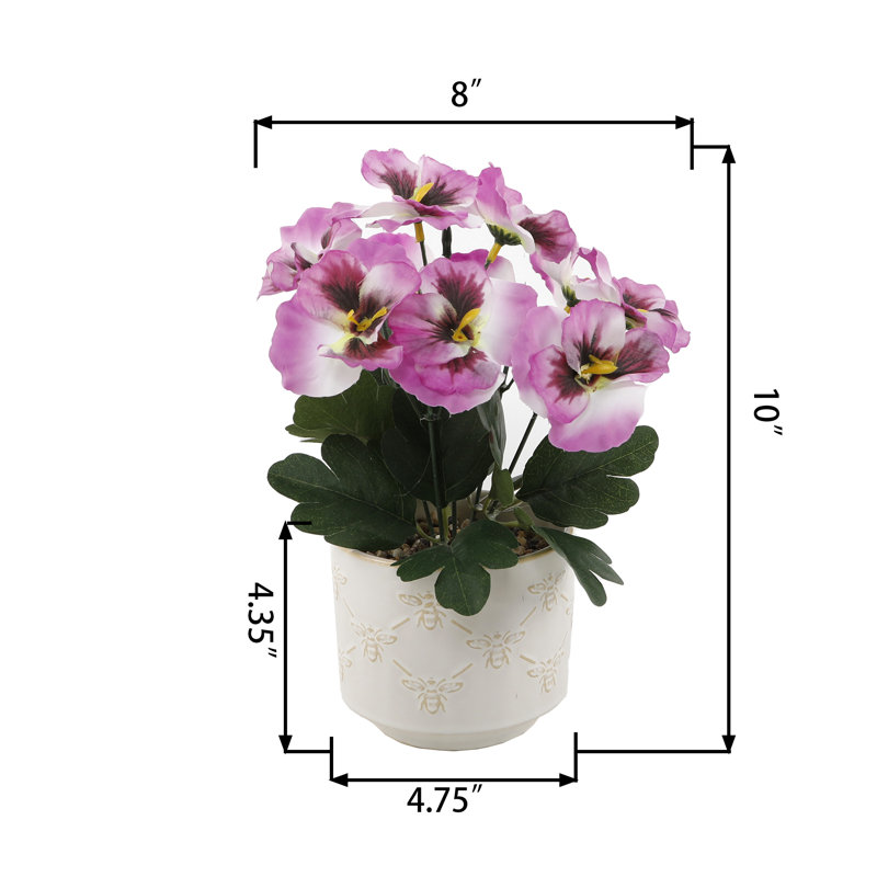 Violet africain dans un vase