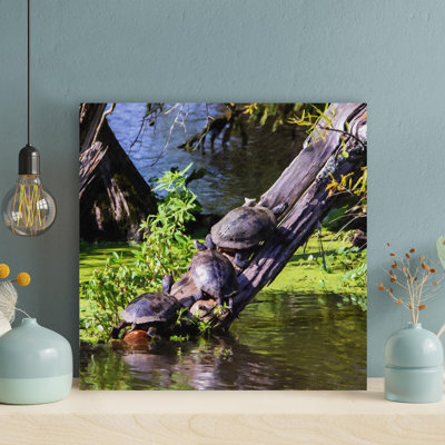 «Turtles On Tree Log On Water» - 1 pièce, reproduction d'art graphique sur toile tendue - peinture sur toile tendue
