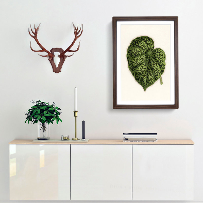 Illustration of a Green Leaf by Benjamin Fawcett - Framed Print, Walnut, 91cm H x 60cm W x 2cm D