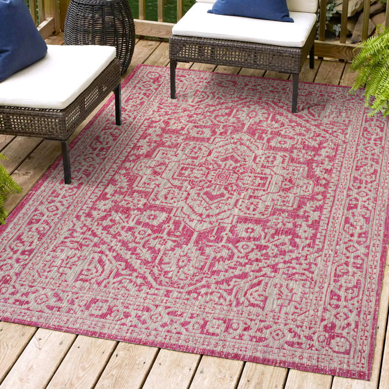 Tapis intérieur / extérieur gris clair / fuchsia Aaleayah, Rectangle 5 pi 3 po x 7 pi 7 po