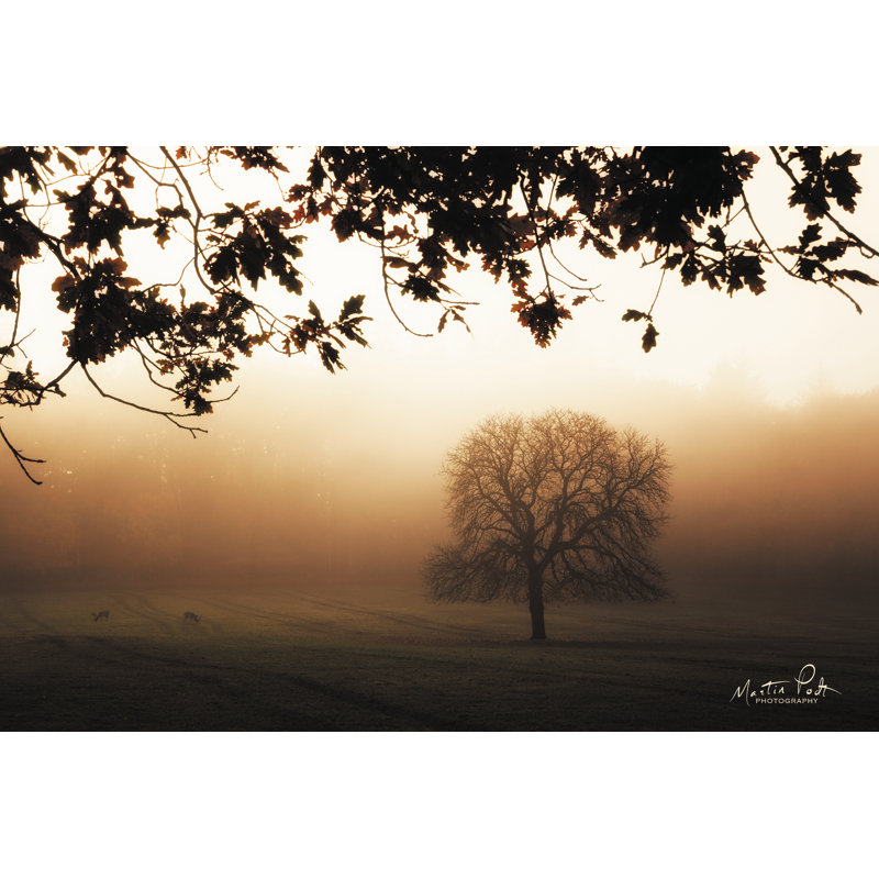 «Under The Leaves» par Martin Podt sur, Non, H 8 po x l 12 po, Toile avec cadre érable