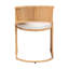 Dining Chair(Only Dining Chairs)