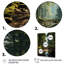 «Forest Enchanted Woods Earthy», impressions sur toile-292827717-292827772