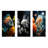 Corals Butterflyfish Aquamarine Adventure-143910846-143910841