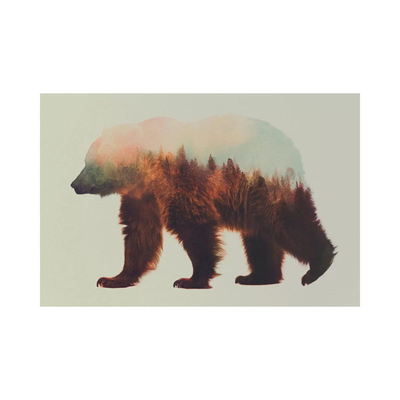 Bjorn by Andreas Lie - 1 Piece Wall Art on Canvas, 20.32 cm H x 30.48 cm W, Wrapped Canvas
