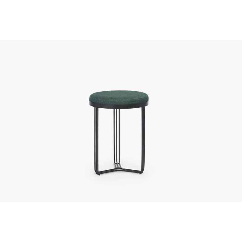 Ariss Stainless Steel Accent Stool, Black, Green