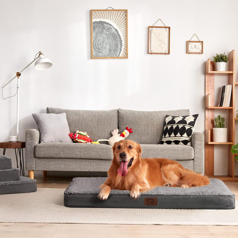 Pet Bed