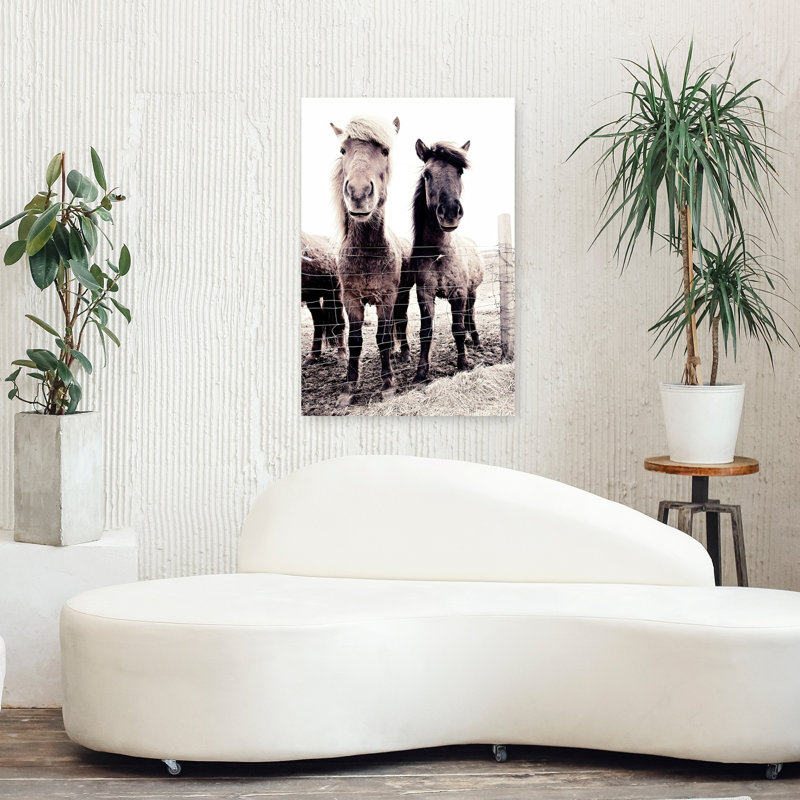 Islande, cheval, Asti et Bessa, cheval contemporain abstrait, art mural