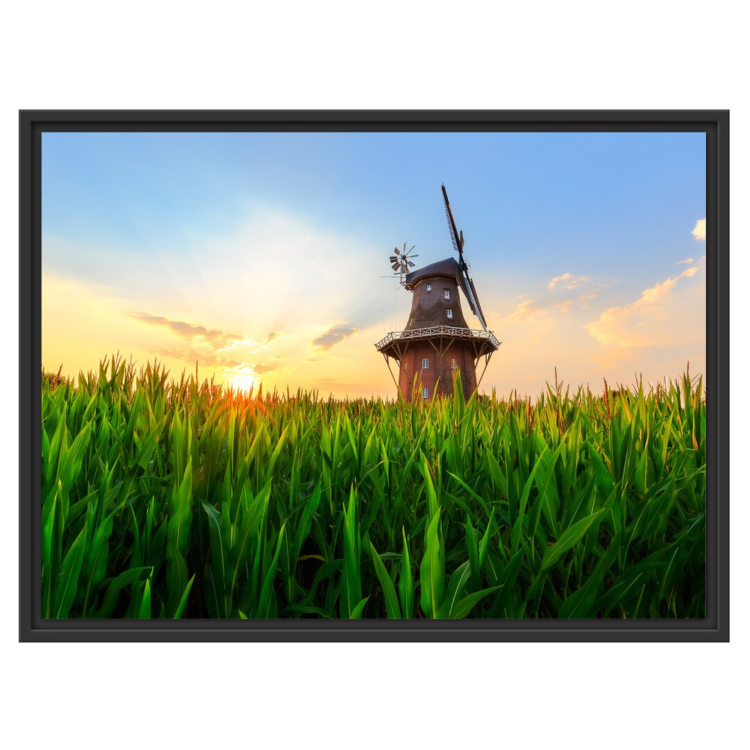 Gerahmtes Wandbild schöne Windmühle auf dem Feld