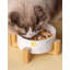 Pet Bowl