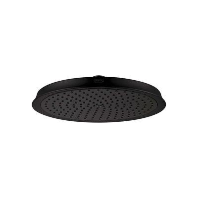 Raindance C 240 Shower Head