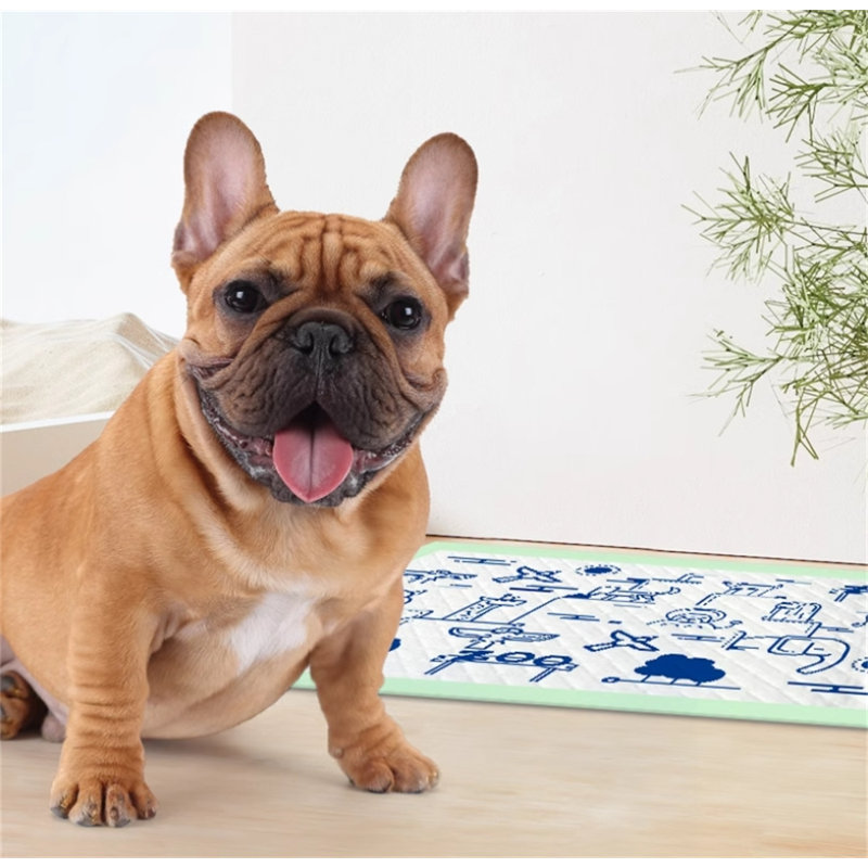 Tapis pour chien (ensemble de 40)