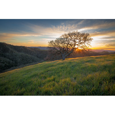 " Mount Diablo " by Schofieldimages