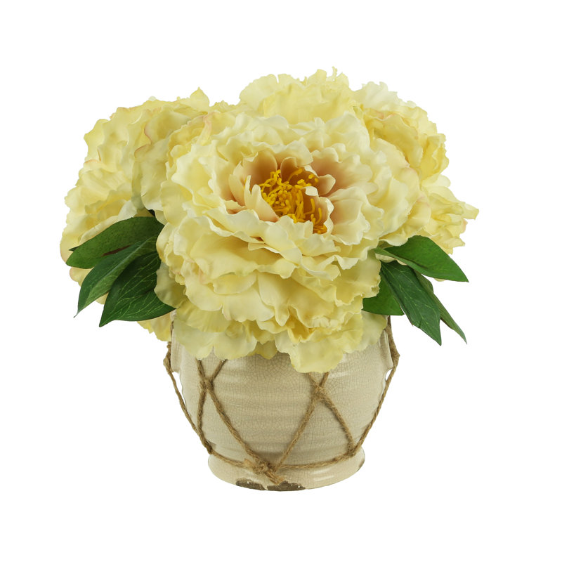 Lush Peonies in Pot
