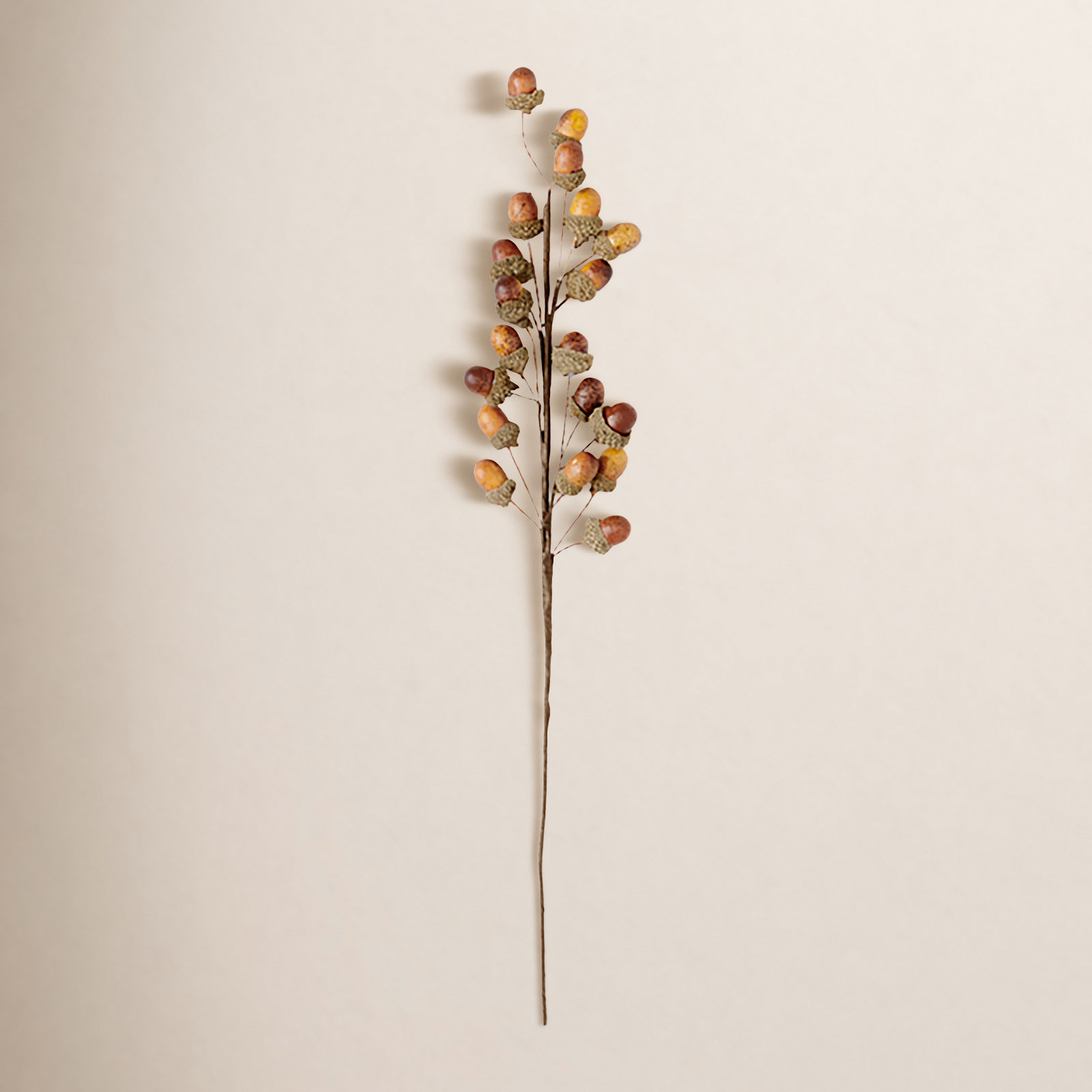Acorn Floral Stems