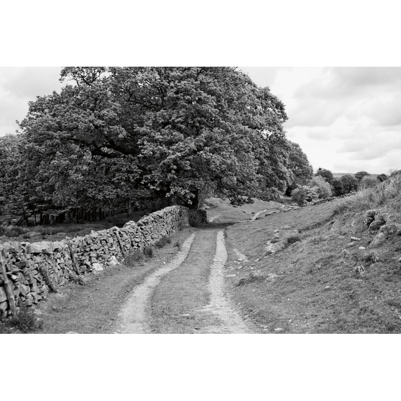 Wynlass Beck by Laura Marshall - No Frame Print on Canvas, 81cm H x 122cm W x 3.8cm D
