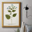 Nature imprimée Botanicals VI, toile encadrée de qualité supérieure - prête à être accrochée-595109407