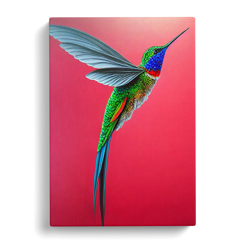 Strassen Hummingbird Traditional Vol.3 - Wrapped Canvas, 60cm H x 40cm W x 3cm D