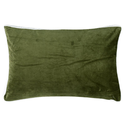 Velvet Throw Pillow