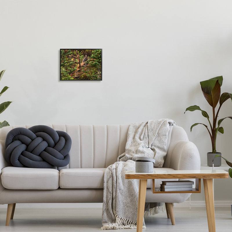 «Deer Forest Nature Plantation» encadré sur bois par Dennis Frates, photographie, Giclée encadrée noir minuit