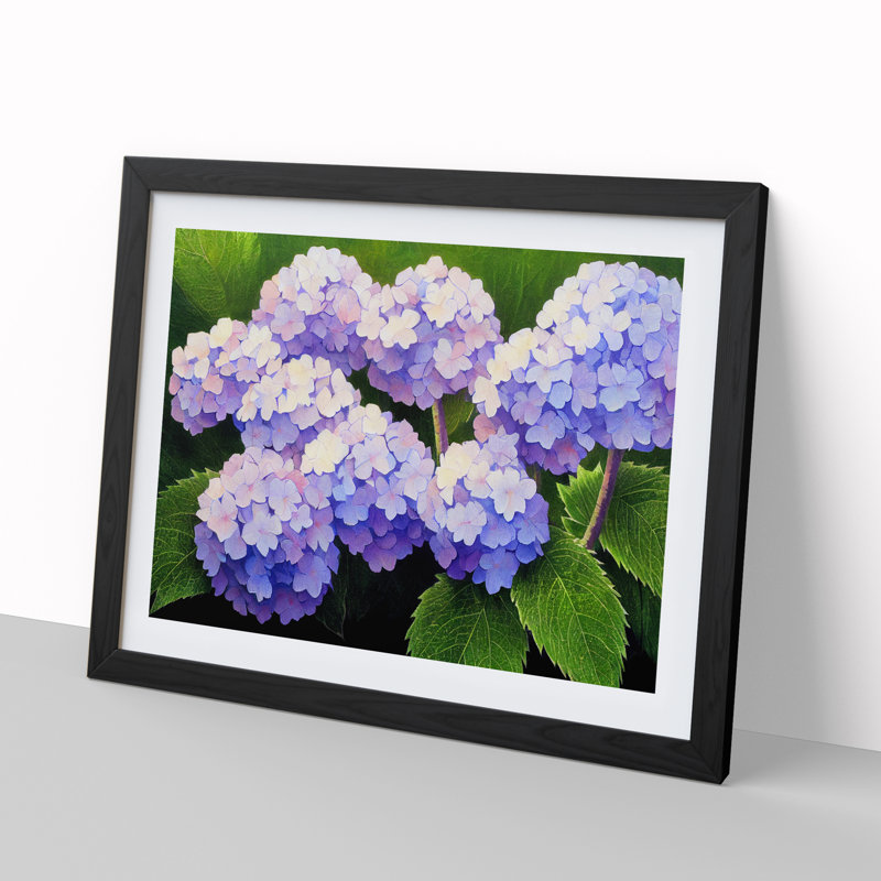 Hydrangea Flower View Vol.1 1 Piece Single Picture Frame Wall Art, 25cm H x 34cm W x 2cm D, Black