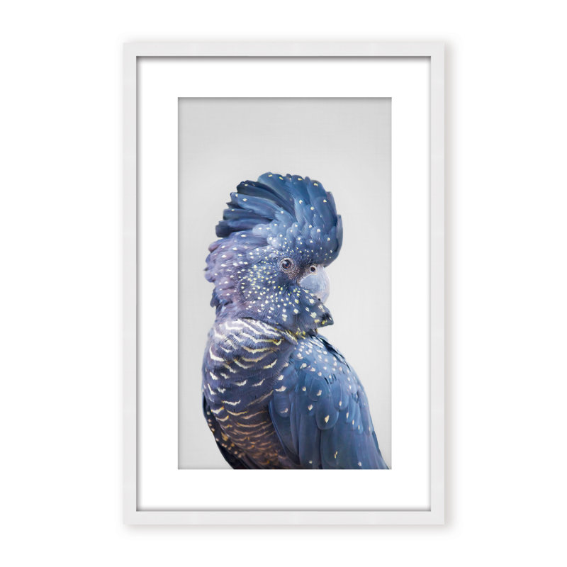 Nature Inspired Black Cockatoo by  - Picture Frame Photograph on Paper, 36" H x 24" W x 1.125" D, Beige, Framed Matted Print