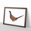 Pheasant Bird in Winter - Framed Print-56704609-56704613