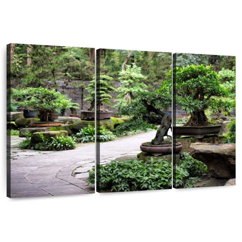 Harnek Bonsai Trees, 20" H x 33" W