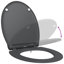 Anthracite Plastic Standard Adjustable Armrests Toilet Seat-1215608310