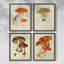 «Mushroom Variétés», reproduction encadrée - ensemble de 4-643921861-643921860