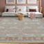 Cotton Oriental Area Rug in Rust