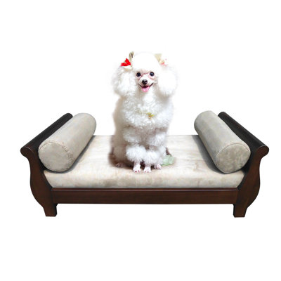 Chaise traîneau pour chien
