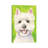 Westie With Background by George Dyachenko - Wrapped Canvas Painting-1266256883