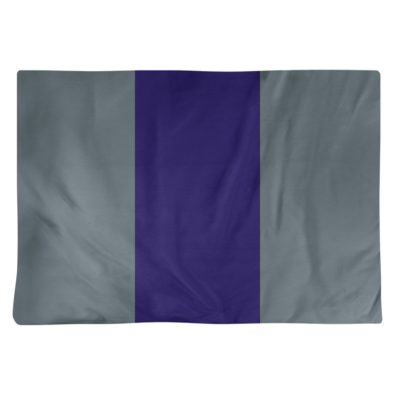 Récapitulatif 18" basket Phoenix, Gris / mauve / gris, Polyester
