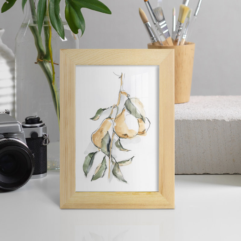Watercolor Fruit Contour I - reproduction d'art sur toile, H 7 po x l 5 po x P 1 po, Papier encadré naturel