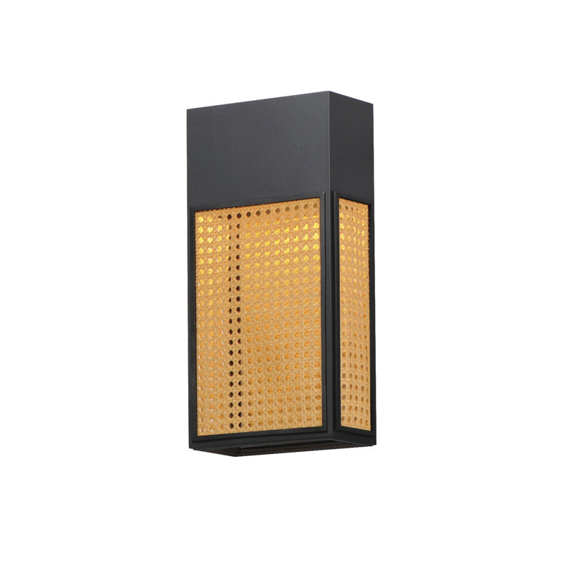 Achsa LED Wall Light, Black/Yellow, 16" H x 8' W x 4.75" D