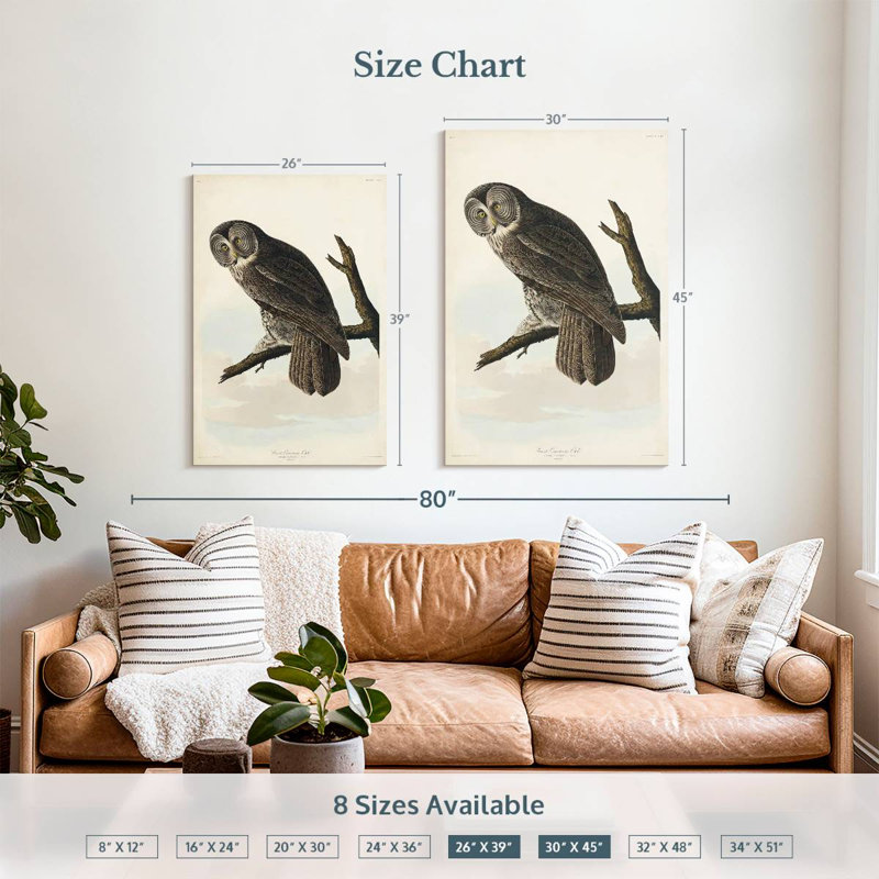 Brampt Great Cinereous Owl, 39" H x 26" W