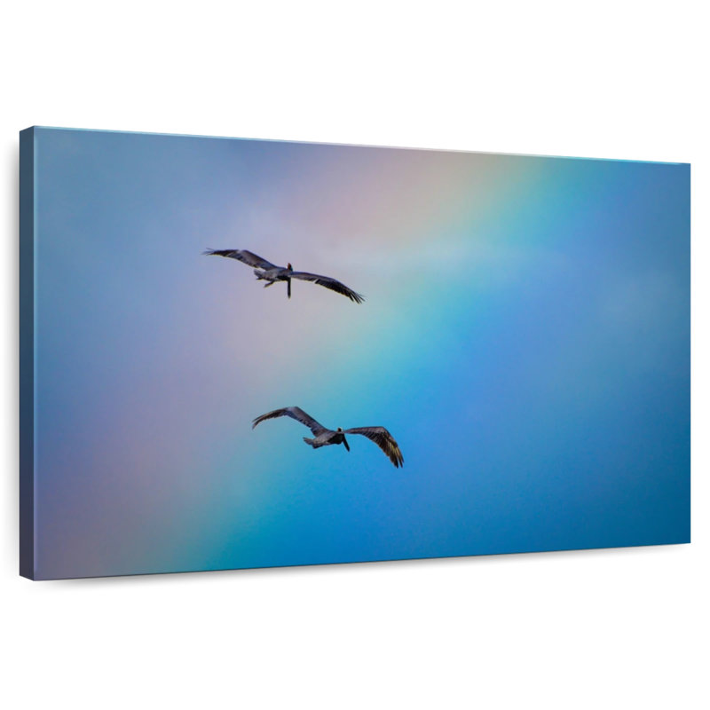 Brampt Birds And Rainbow, 16" H x 24" W