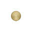 Flood Fixed Shower Head-269518813-329241079