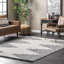 Shag Area Rug-1912071574
