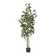 Primrue Abernethy Faux Laurel Tree in Pot & Reviews | Wayfair