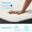 Linenspa Essentials 12 po Matelas hybride moelleux en mousse viscoélastique imprégnée de gel-50562833