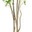 Faux Bonsai Tree in Pot-760590342