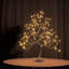 Veilleuse arbre