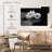 Harnek Monochrome Water Lilies-107668823